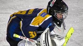 hokej ice-hockey-3943957 1280